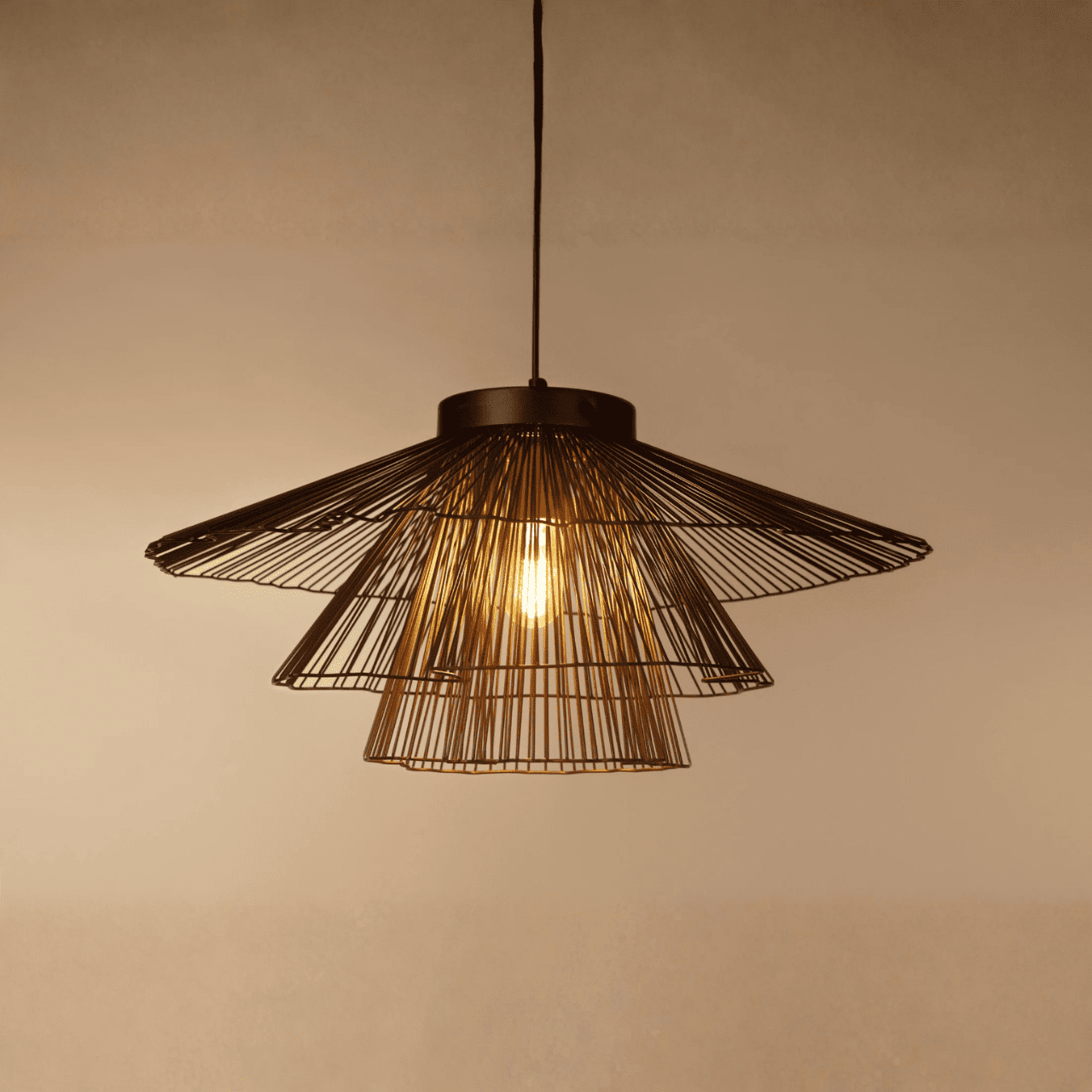 Noir Satin Ceiling Lamp
