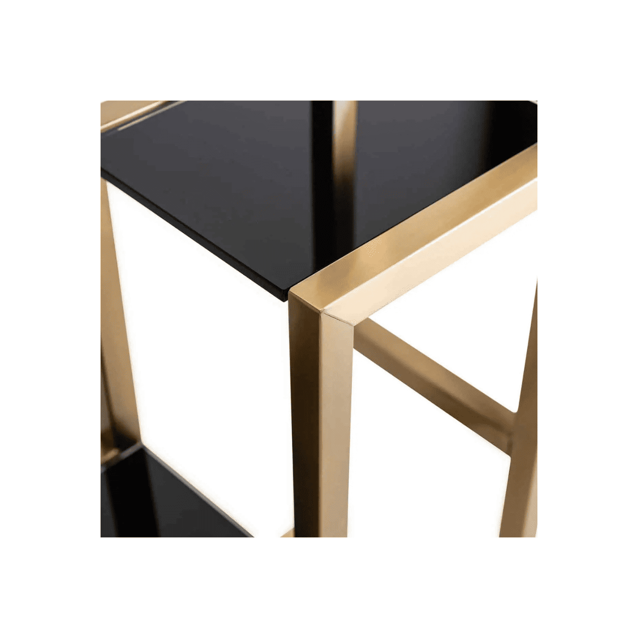 Shadow Glass Bookshelf